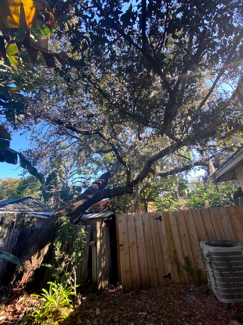 A bakers tree Service