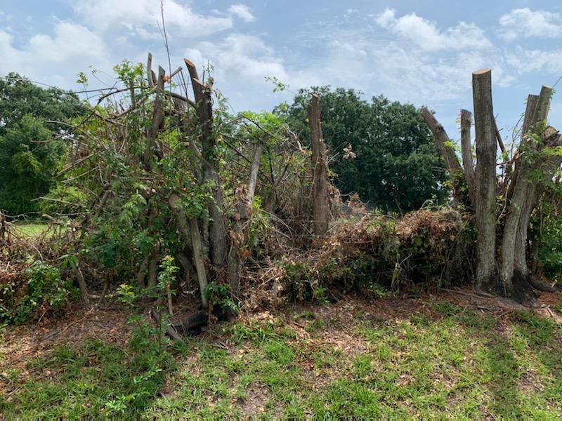 Albert & Ellis Landscaping & Tree Service