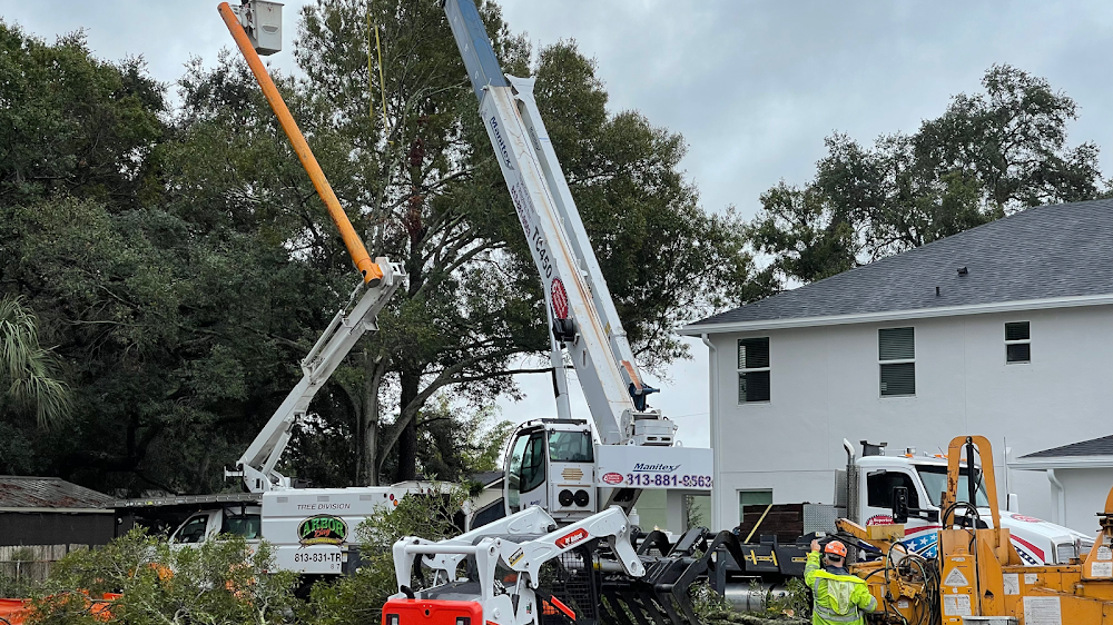 Arbor Bay Tree Service