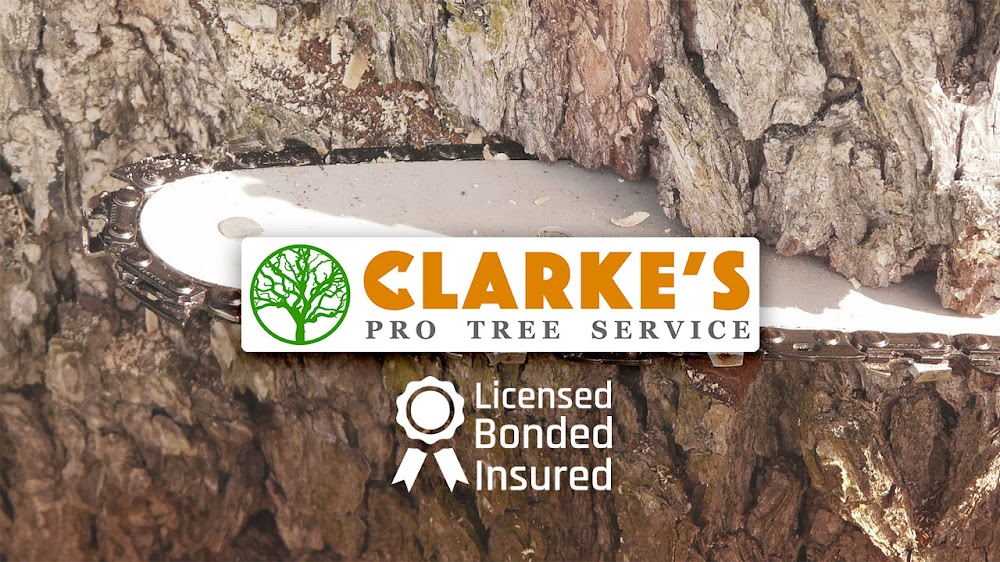 Clarke’s Pro Tree Service