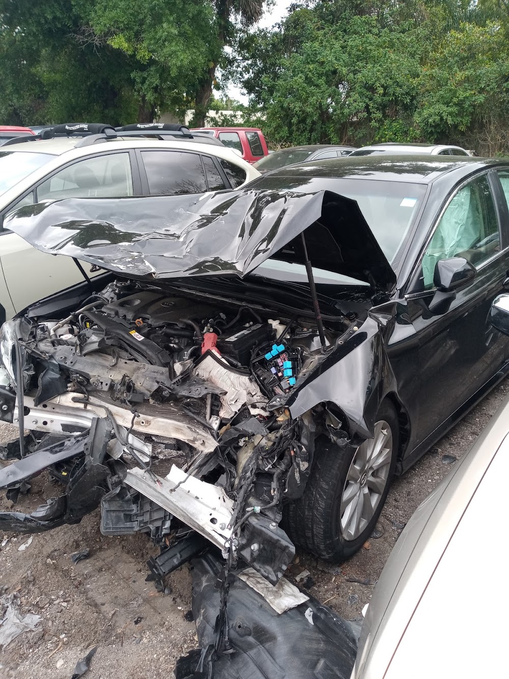 Dixie Paint & Body Shop, Inc.