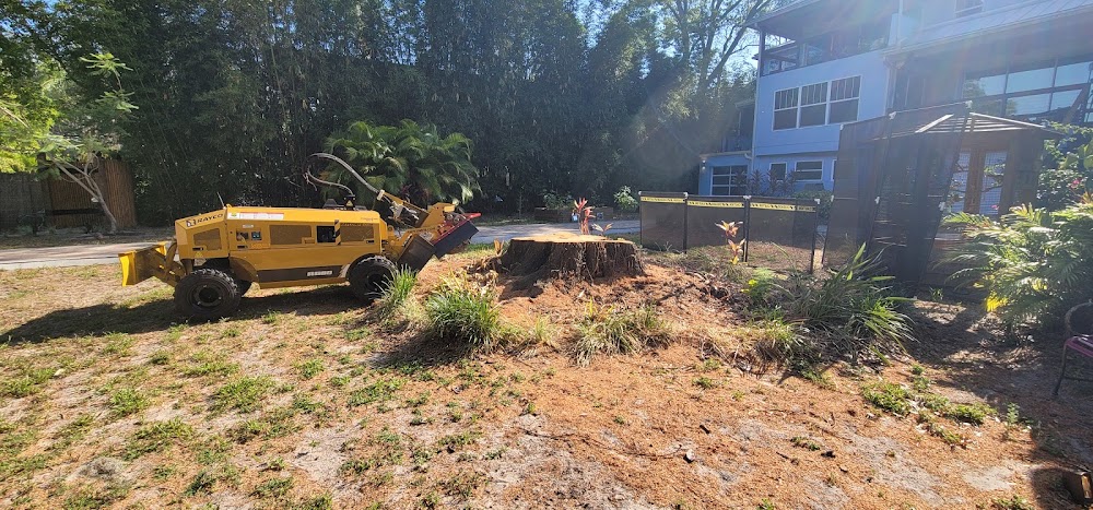 Dunn Rite Stump Grinding