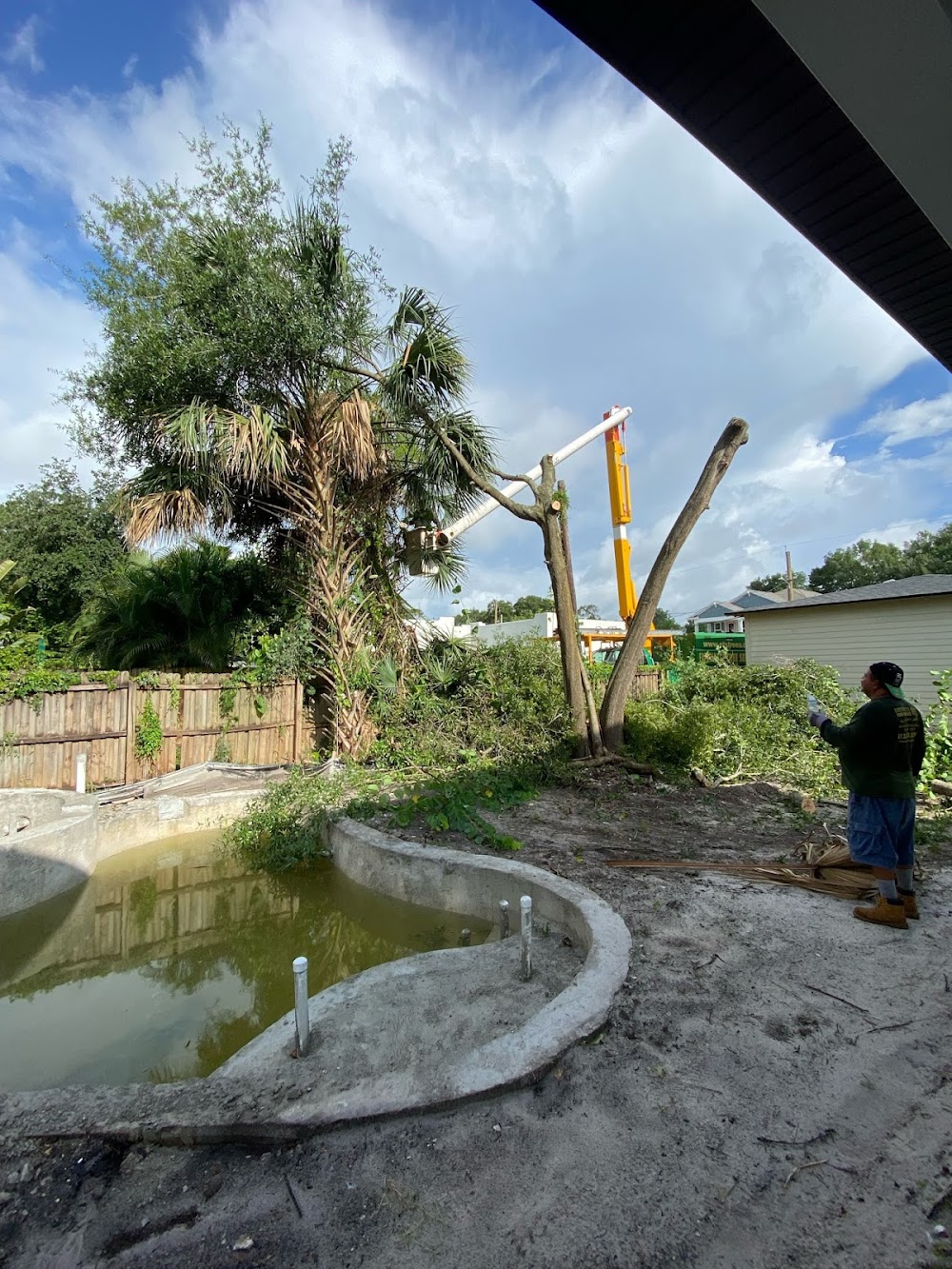 Experience Tree Service