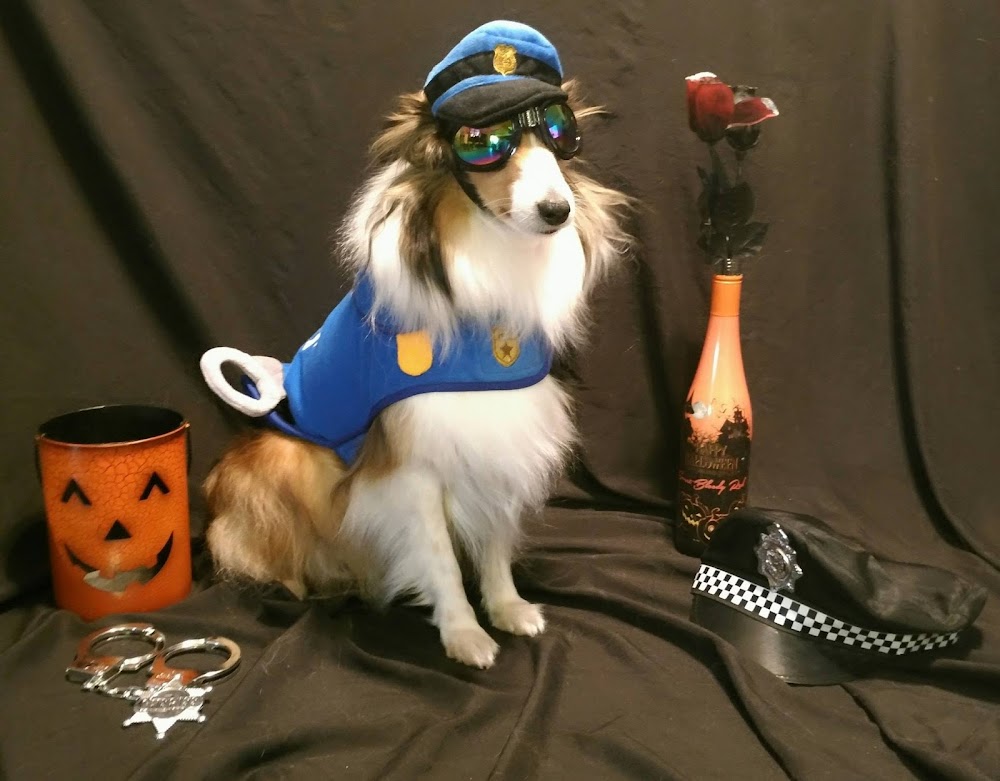 Gulf Coast Veterinary Center of Tampa