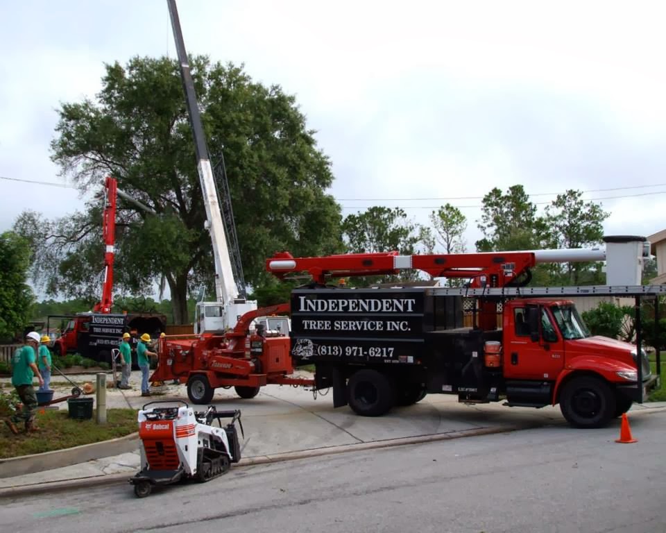 Independent Tree Service, Inc.