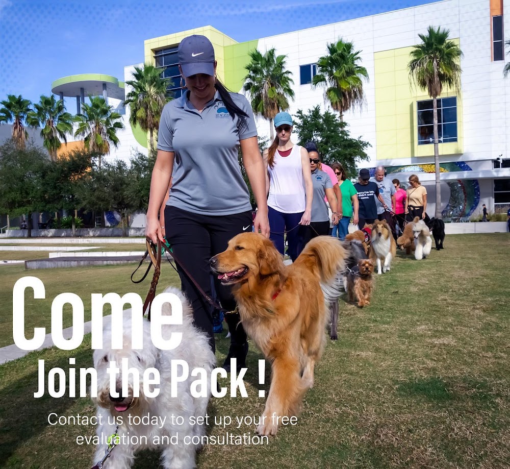 Inghram’s Sit N Stay Dog Academy