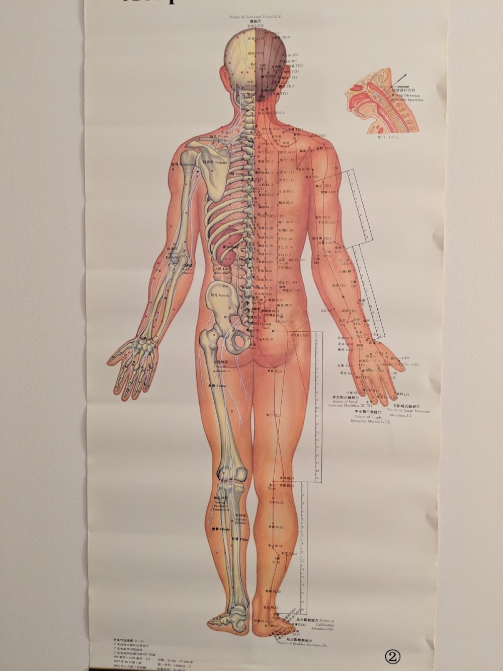 Integrative Medicine Center, Inc.