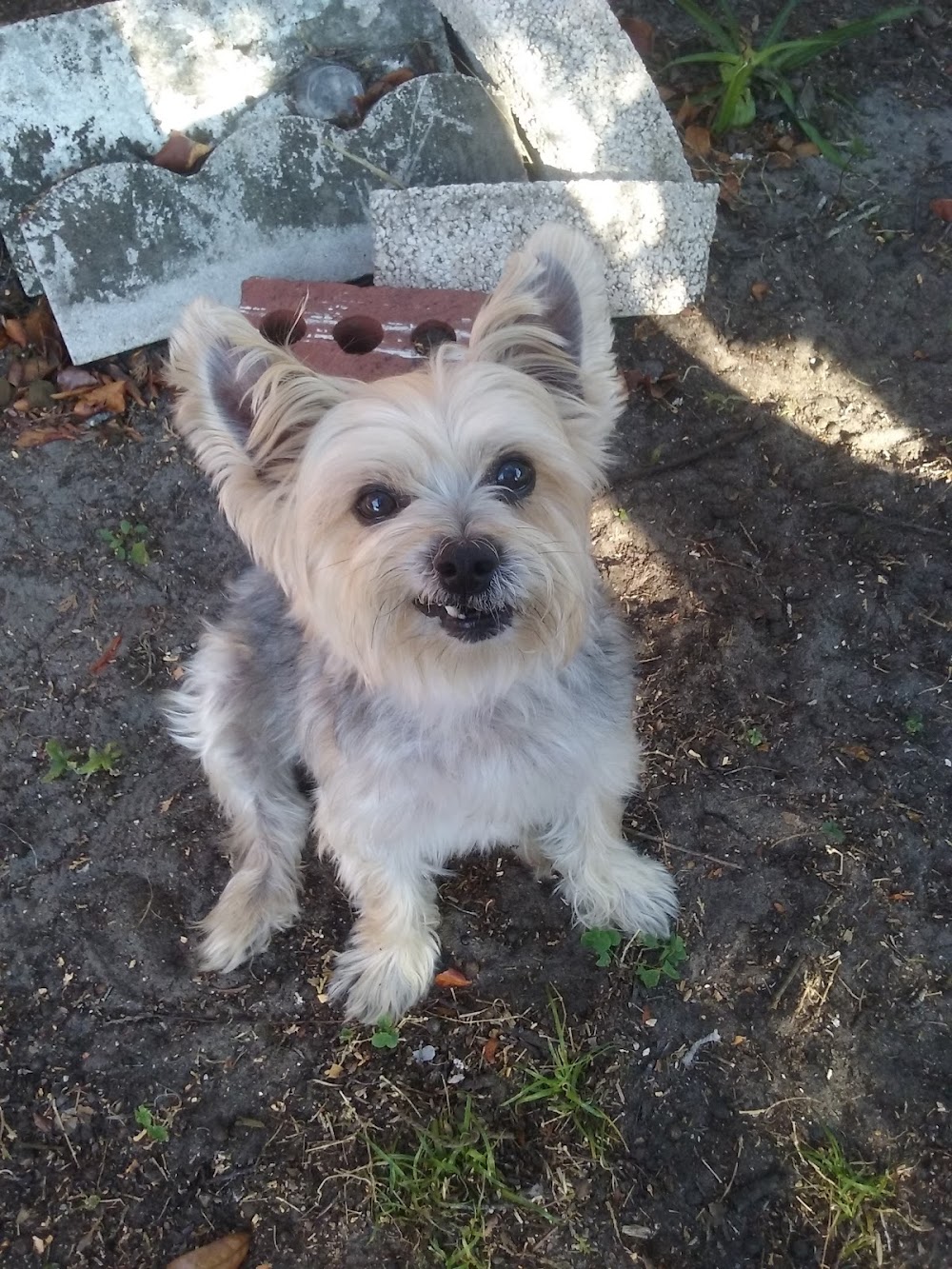 Kindness Animal Hospital