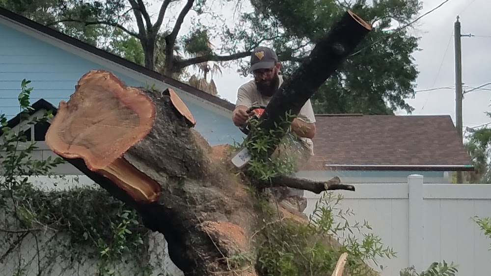 Moore Cuts Florida Tree Service