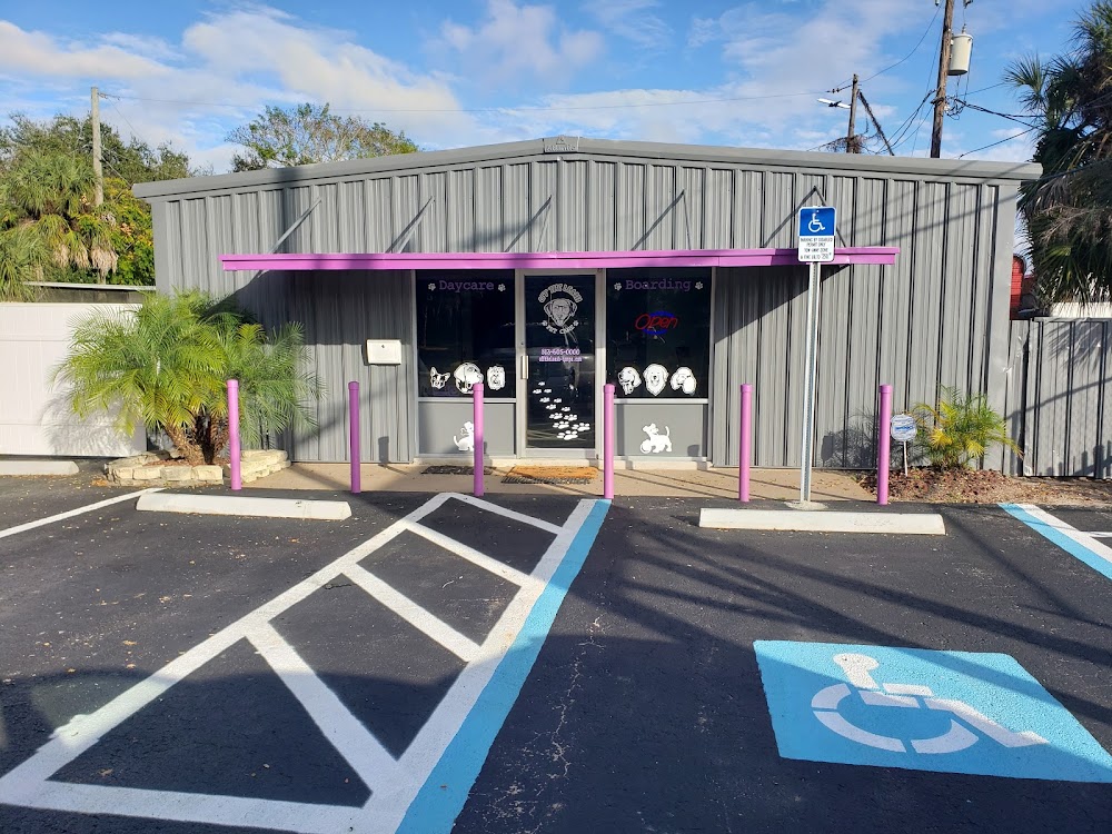 Off The Leash Pet Care