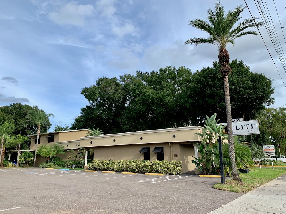 Payne’s Environmental Service – Tree Service Tampa Bay