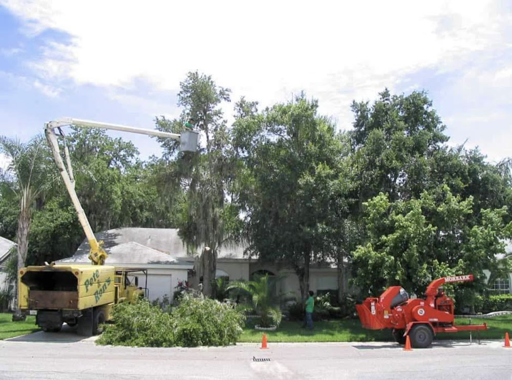 Pete and Ron’s Tree Service Inc.