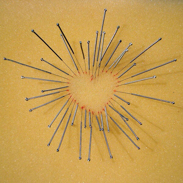 Soaring Crane Acupuncture & Herbal Medicine