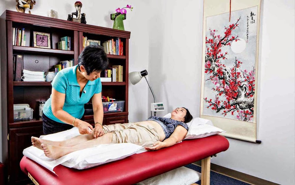 Tampa Acupuncture – Dr. Shao