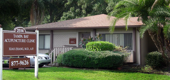 Tampa Bay Acupuncture Clinic