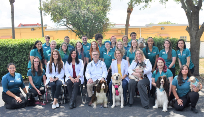 Temple Terrace Animal Hospital
