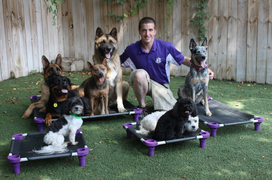 The Dog Wizard Tampa