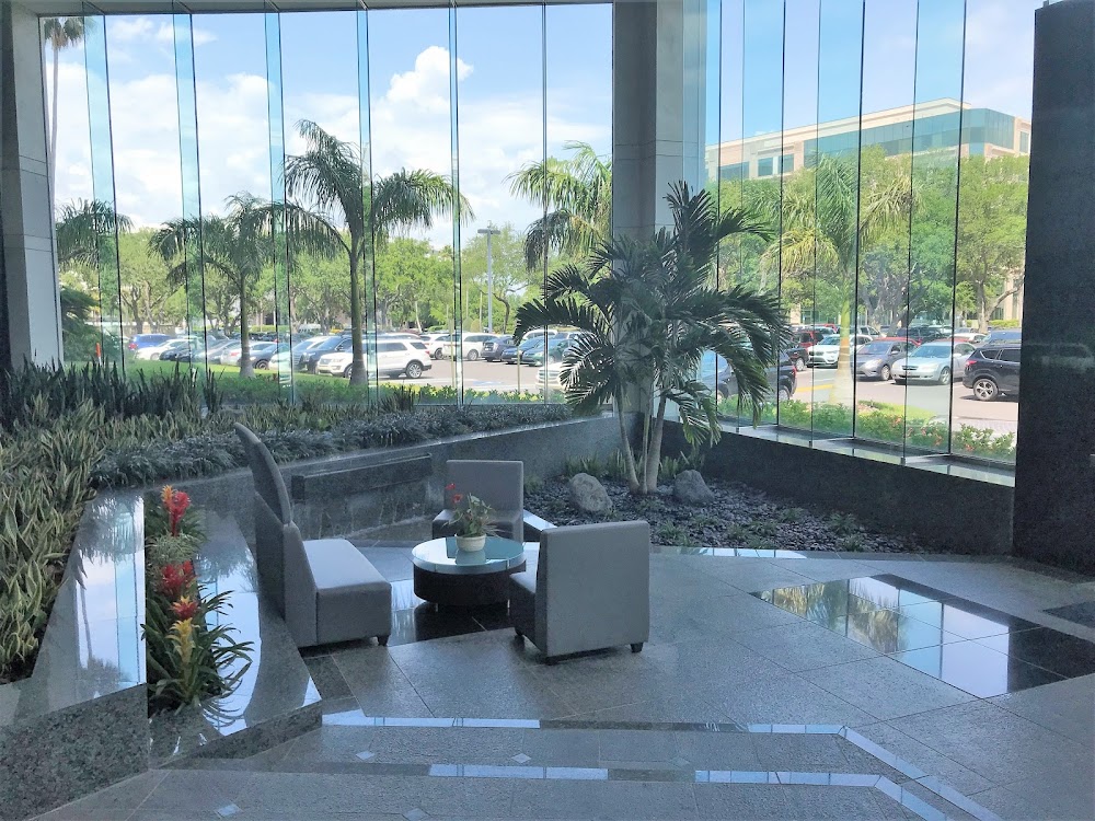 The LASIK Vision Institute