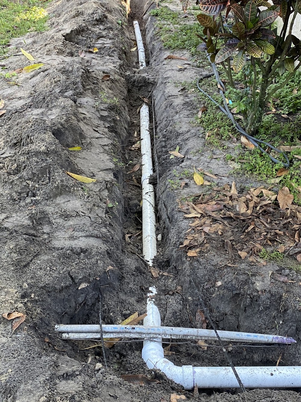 The Opportunist Organization LLC