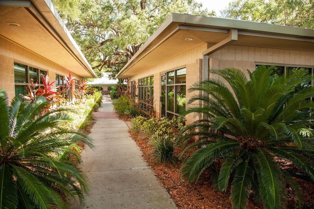 United Vein & Vascular Centers of Tampa, FL