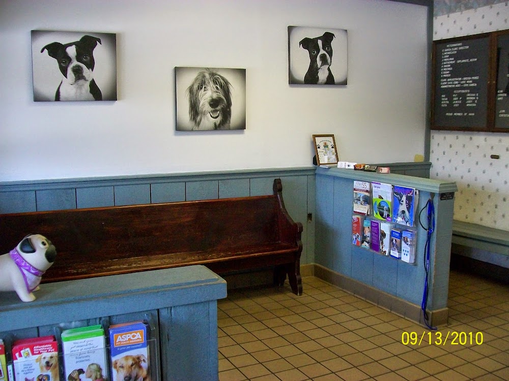 Urgent Pet Care of South Tampa