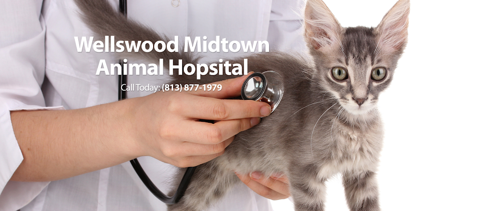 Wellswood Midtown Animal Hospital