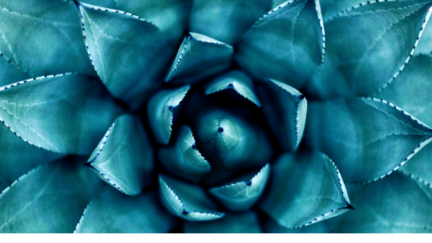 Wholistics Massage & Wax